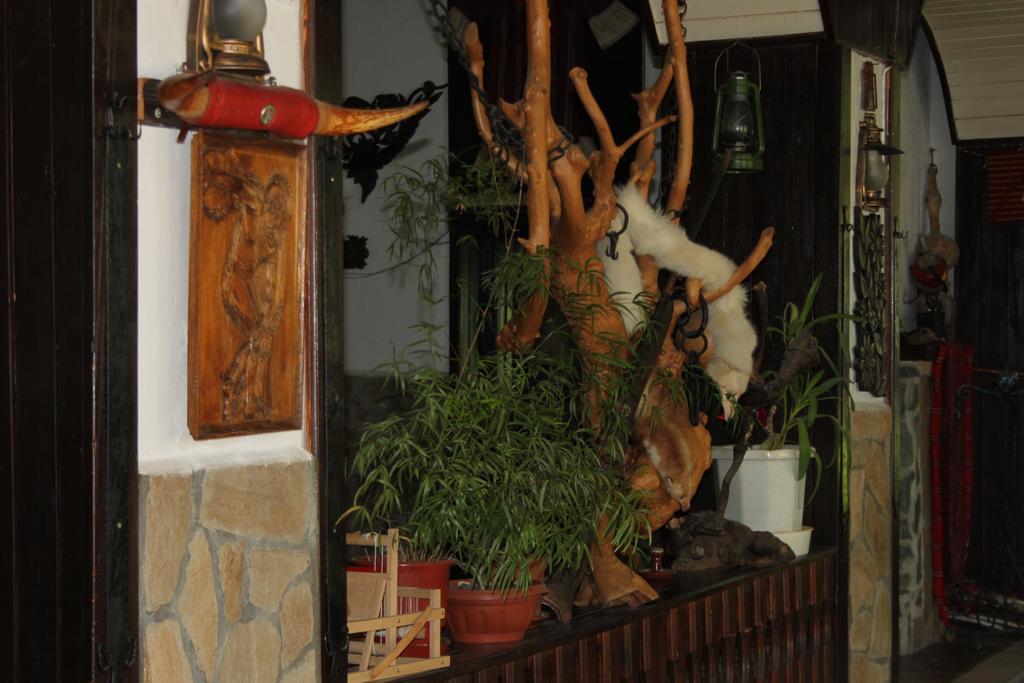 Guest House Chinarite Санданський Екстер'єр фото